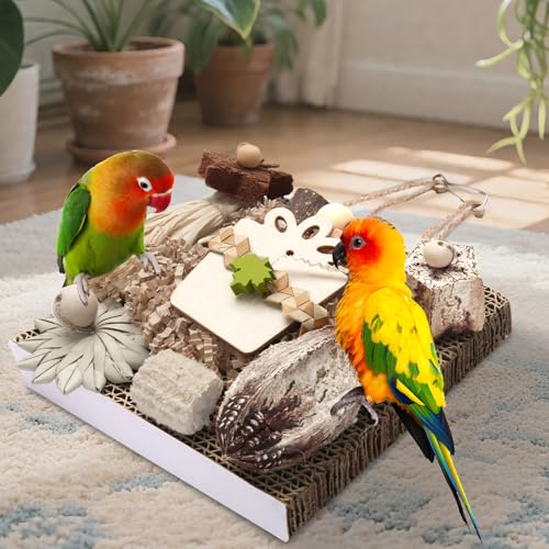 Kyouki Bird Toys, Parakeet Toys, Parrot Toy, Conure Hanging Chewable Cardboard Foraging Suitable for Budgies, Cockatiels, Lovebirds, Sun Conures - and Other Small/Medium Parrots (Medium) - size: Medium