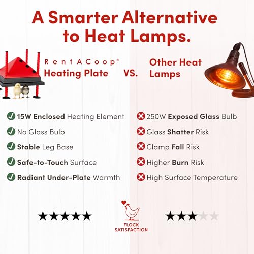 RentACoop 10x10” Adjustable Heating Plate with Foldable Anti-Roost Cone