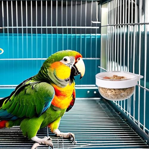 6 Pack Detachable Transparent Bowls Convenient Hanging Seed Water Feeder Bird Food Bowl Plastic Cage Feeder Cups for Parakeet Small Size Birds
