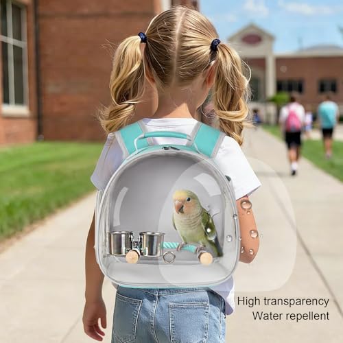 Small Bird Travel Backpack Carrier Cage, Backpack to Transport Backpack Carrier with Clamp Cups Stand Perch for Parakeet Cockatiel Budgies Vet Carry Book Bag Green - color: Green