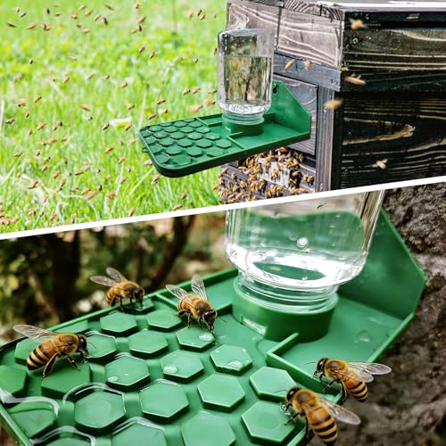 Bee Water Dispenser, Wall or Tree Mounted, for Bees, Butterflies, Hummingbirds and Insects, Green, 2 Pack