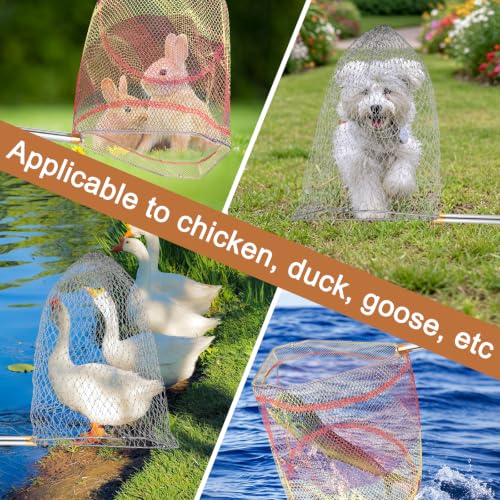 Chicken Catching Net 2 Pcs, 43" to 65" Adjustable Length Animal Net | Chicken Net Catcher Stainless Steel Poultry Catcher for Catching Small Chicken, Goose, Ducks, Fish, Birds(2 Nets & 1 Pole