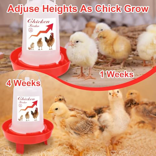 Chick Feeder and Waterer Set Top Fill 3.3LB Feeder and 0.4Gal Waterer with 3 Adjustable Heights Legs for Chicks