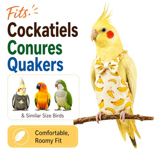 Bird Diaper and Leash Set with Harness | Cockatiel/Sun Conure/Quaker Parrot Diaper Leash, Medium Bird Flight Suit Set for Outdoor Flying & Training (M)