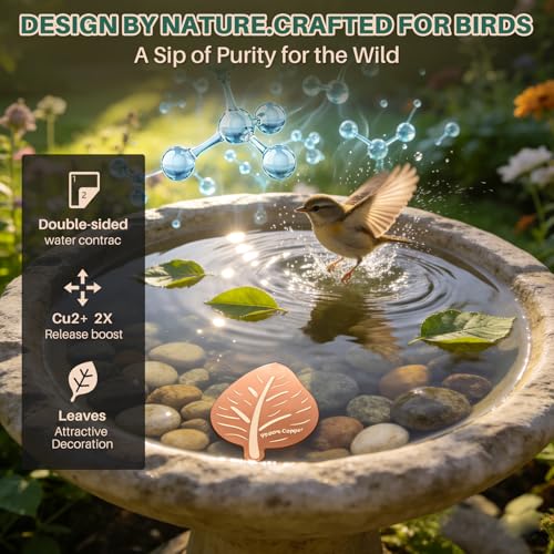 3Pcs Leaf Bird Bath Copper Purification Disk | 99.99% Pure Copper Bird Bath Discs 0.6mm Reinforced,Natural Physical Cleaner for Outdoor Birdbaths, Fountains & Bowls - size: 3Pcs Leaf