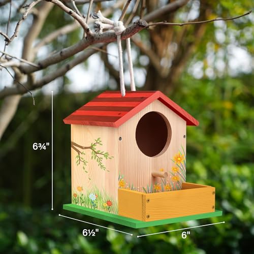 LotFancy Bird House Kit, 2 Pack, DIY Wooden Birdhouse Kits, Arts and Crafts Painting Kit for Kids, Build and Paint, Including Paints & Brushes - style: Paint 2pcs Bird House