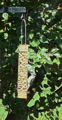 Backyard Birds Unlimited Cedar Whole in-Shell Peanut Outdoor Hanging Wild Bird Feeder Made in the USA-Small 21" Inch - size: Small