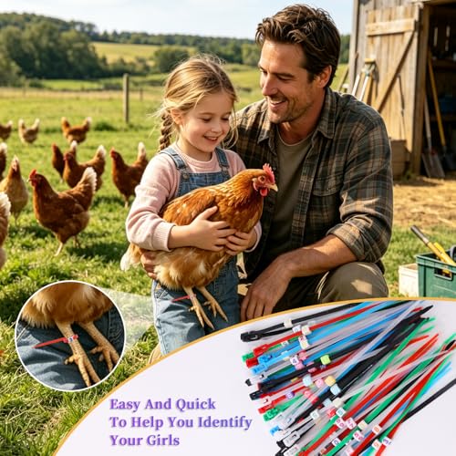 100 Pcs Chicken Leg Bands with 400 Charms, Adjustable for Poultry | 100 bands + 400 letter/number charms. 6 colors, adjustable 5.9". Durable snap-lock. Includes clipper. For poultry