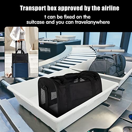Cat Carrying Case - Pet Carrier Airline Approved, Protable and Breathable Pet Travel Carrier Removable Fleece Pad, Collapsible Cat Carrier Dog Carrier for Medium Cats Small Cats Dogs (X-Large, Black) - color: black, size: 20.0"L x 13.0"W x 13.0"H