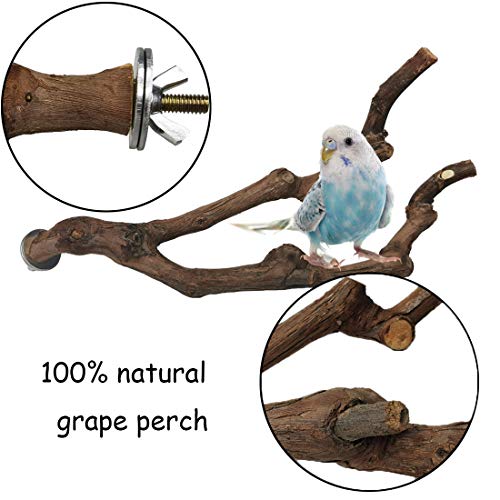 PINVNBY Natural Parrot Perch Bird Stand Pole Wild Grape Stick Paw Grinding Fork Parakeet Climbing Standing Branches Toy Chewable Cage Accessories for Small Lovebirds Budgies Cockatiels 2PCS - size: 9.8in