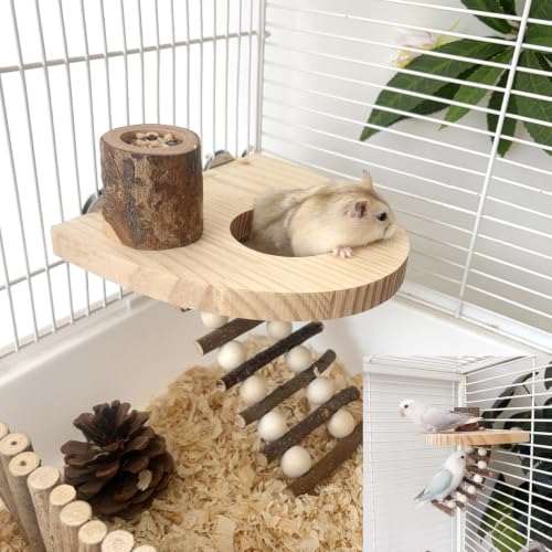 Climbing Toys for Hamster and Small Parrot, Natural Apple Wood Playing Toys | Cage Accessories for Guinea Pig, Gerbils, Chinchillas, Rats, Parakeets, Conures, Syrian, Bird, Mice