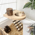 Climbing Toys for Hamster and Small Parrot, Natural Apple Wood Playing Toys | Cage Accessories for Guinea Pig, Gerbils, Chinchillas, Rats, Parakeets, Conures, Syrian, Bird, Mice