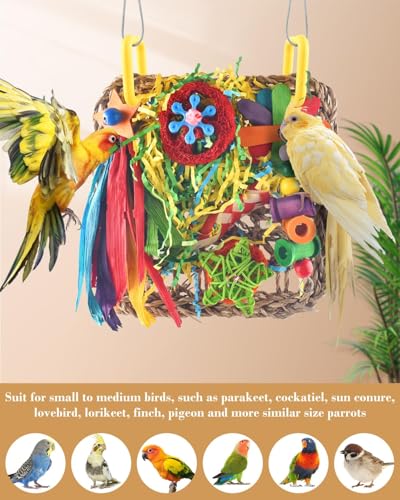 ERKOON Cockatiel Toys, Budgie Toys Foraging Toy Hanging Bird Toy for Lovebrid Parakeets Conures Parrot Foraging Wall with Colorful for Birds Shredding Seagrass, Birds Cage Accessories-2 Pack - size: Large grass mat-2 Pack
