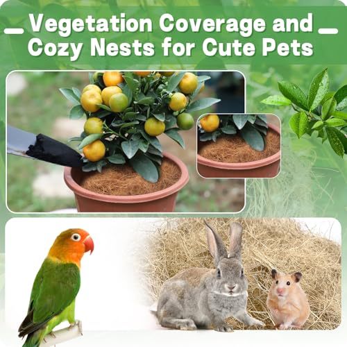 Bird Nesting Material,100% Natural Coconut Fiber Bird Nest Bedding, 3.7oz，Safe&Soft Nesting Supplies for Hummingbirds, Canaries, Parakeets, Wild Birds | for Bird Cages, Nest Boxes, Outdoor Bird Houses