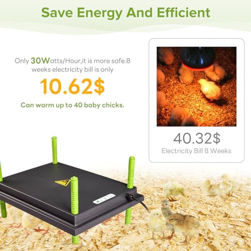 Tetuga Brooder Heat Plate 12 X 16” Chick Heating Plate Warm Up to 40 Chicks | Chicken Heater Plate with Adjustable Height & Angle, Energy-Efficient 30W Chick Warmer Safer Than Brooder Lamp - size: 12x16 Inch