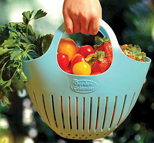 Hutzler Mini Colander garden basket, Small, Eggshell Blue - color: Eggshell Blue, size: Small