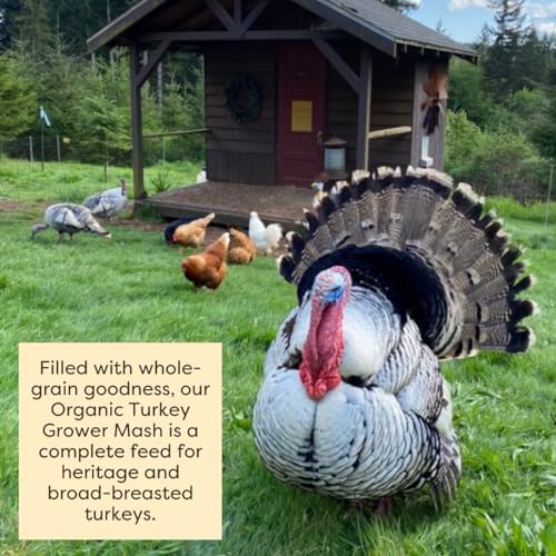 Scratch and Peck Feeds | Grower Mash + Corn for Turkeys | 40 lb Bag | 20.5% Protein, Soy Free, Fermentable Whole Grains, Certified Organic & Non-GMO Project Verified, Complete Nutrition