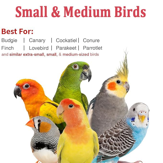 Small Bird Travel Carrier, Portable Bird Travel Carrier for Parakeet, Parrot, Budgie, Guinea Pig, Bearded Dragon Reptile Carrier for Hiking Vet Visit Bicycle Ride (Blue) - color: Blue