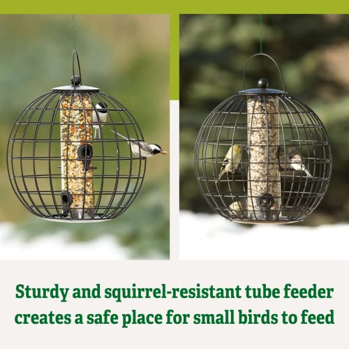 Gardener's Supply Company Globe Cage Bird Feeder | Outdoor Sturdy and Squirrel Proof Hanging Cage | Best for Finches Hummingbirds Nuthatches and Other Small Birds - Holds 3 Cups of Seeds
