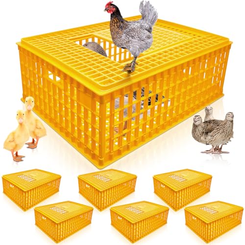 Sintuff Poultry Carrier Crate Plastic Chicken Transport Cage Bird Carriers Chickens Carrier Travel Crate Basket Box for Poultry Chicken Bird Duck Goose, 29.5 x 21.7 x 11.6 Inch (2 Pcs)