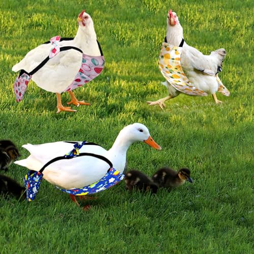 3 Pieces Chicken Diapers for Hens Pet Duck Diapers Reusable Chicken Diapers Chicken Clothes Accessories with Bow Tie for Poultry (M) - size: M