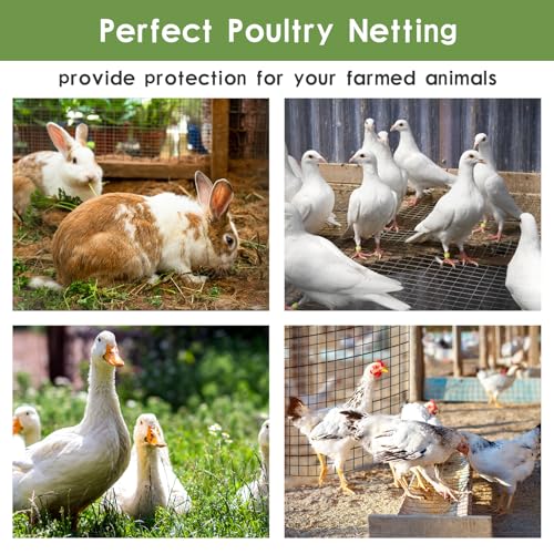 Tongmo Black Hardware Cloth, 1/2 inch 48'' x 100'Chicken Wire Fence, 19 Gauge Vinyl Coated Welded Cage Wire Mesh Roll Supports Poultry Netting Cage Garden Fence