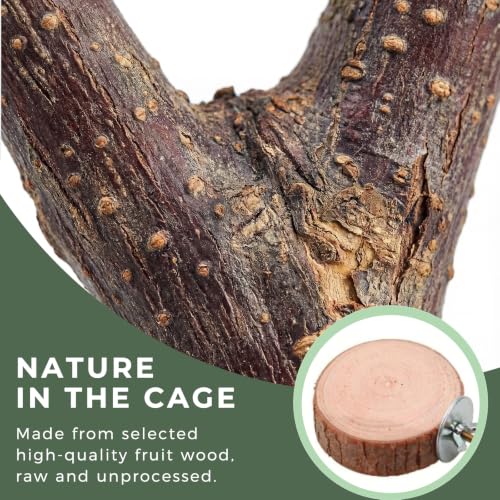 Natural Bird Toys and Wood Perches Set, Essential Parrot Cage Accessories with Hanging Swings, Stands and Shreddable Foraging Toys for Parakeets, Cockatiels, Budgies (20 Pack) - size: 20 Pack