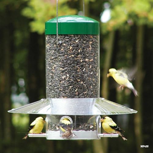 Birds Choice Classic Hanging Bird Feeder with Weatherguard Baffle | Squirrel Proof Bird Feeder for Cardinals, Chickadees, Woodpeckers | Sturdy Steel Construction | Backyard Birdseed Dispenser | Green | Squirrel Resistant Steel Construction in Green, for C