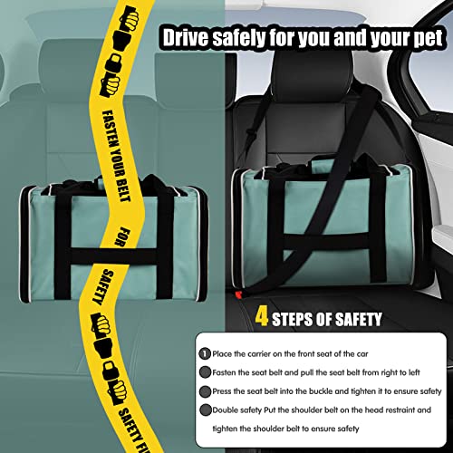 Cat Dog Carriers Soft-Sided Pet Carrier Large Cats for Medium Big Cat Small Dog Puppy up to 16lbs TSA Airline Approved Animal Collapsible Cat Carrier Carriers Travel Carrier Cat Bag (17x11x11) - color: green, size: 17.0"L x 11.0"W x 11.0"H