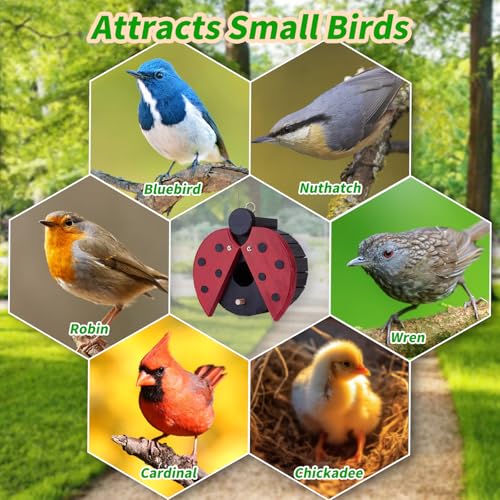 Ladybug-Shaped Wooden Bird House for Outside - Cute Hanging Birdhouse for Finches, Wrens, Cardinals, Bluebirds - Weather-Resistant Wild Bird Nesting Box - Garden Decor & Wildlife Habitat