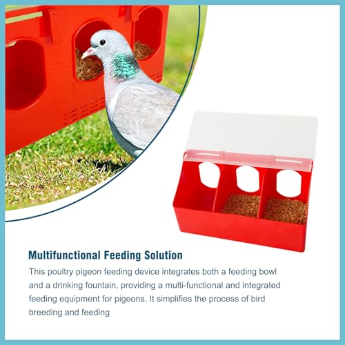 2Pcs Hanging Pigeon Feeder Water Box for Cage Suitable Quail Parrot Budgie and Other Birds (Three Holes)