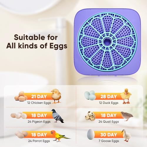 Incubators for Hatching Eggs with Digital Display, Chicken Incubator with Temp & Humidity Control, Auto Egg Turner, Auto Water Top-up, Egg Candler, Poultry Hatcher for Chicken Duck Goose Quail Eggs