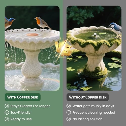 Bird Bath Copper Disk, 4 Inch, 99.9% Pure Copper, 1 Pack | 0.6mm Thick, 99.9% Pure Copper with Triple-Point Support, Fits Most Bird Baths, Bowls and Outdoor Water Features