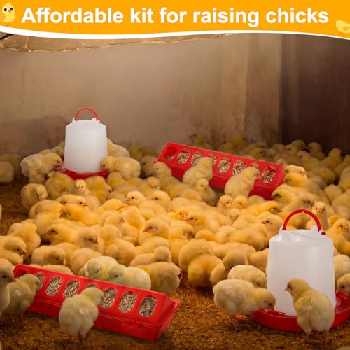 Funnymoom 12 Pack Chicken Feeder and Waterer Set Bird Small Poultry Feeder Flip Top Bird Small Poultry Feeding for Pigeon Chick Drinker Duckling Quail Feeding Dispenser (Red,8 Holes) - color: Red, style: 8 Holes