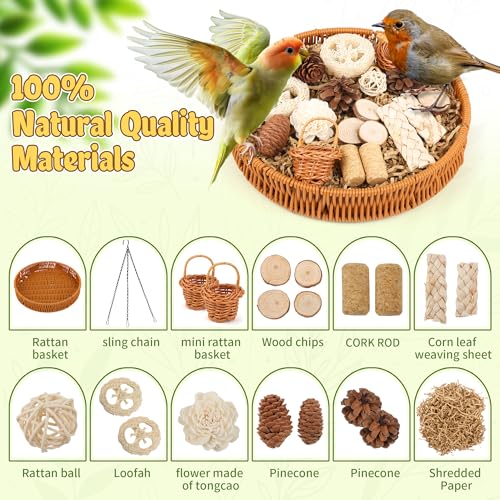 Bird Toys Natural Bird Foraging Toys Parrot Shredding Toys(Large) | Nature material,20PCS Set Conure Chewing Toys hanging basket for Cockatiel Lovebird Parakeet Budgie and Small to Medium Birds - size: Large