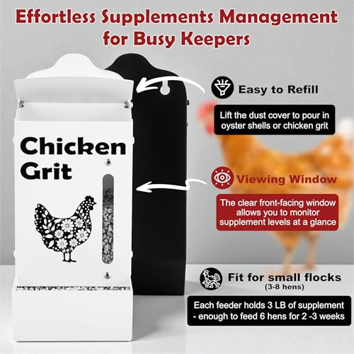 CluckRoots Chicken Grit and Oyster Shell Feeder Combo, No-Spill Metal | Lift-Off Heavy-Duty Dispenser w/ Rain Lid View Window, Small Flocks Capacity, Chicken Coop Accessories Gifts for Lovers - color: Combo-Black/White