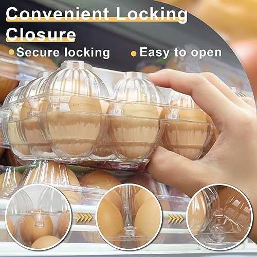 Pintuson 40-Pack Egg Cartons (18 Count) - Clear Plastic Egg Holder for Fresh Chicken Eggs - Reusable 3x6 Gird Egg Container with Secure Snap for Farmers Market & Transport - Fits Small to Large Eggs - color: Medium-40PK-18CT