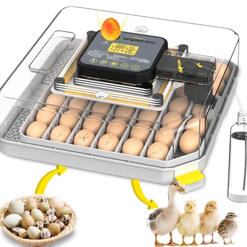 Incubators for Hatching Eggs Egg Incubator for Lab Home Farm with Automatic Egg Turning for Chicken, Ducks, Goose, Quail 48 Eggs - size: 48 eggs