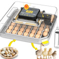 Incubators for Hatching Eggs Egg Incubator for Lab Home Farm with Automatic Egg Turning for Chicken, Ducks, Goose, Quail 48 Eggs - size: 48 eggs