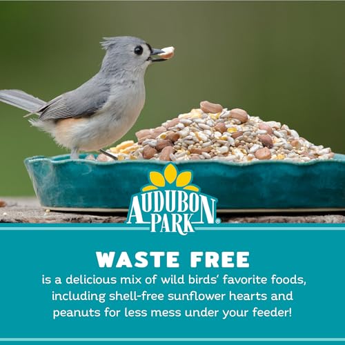 Audubon Park Waste Free Wild Bird Seed, 12 lb | No Mess Blend with Sunflower Hearts & Peanut Pieces – Bird Food for Outside Feeders - size: 12 Pound (Pack of 1)
