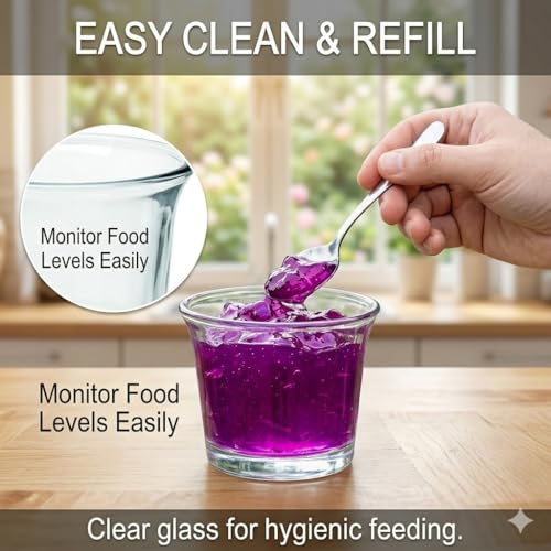 6Pcs Glass Bird Feeder Replacement Cups, Oriole Jelly Feeder Bowls, Outdoor Hanging Hummingbird and Goldfinch Feeders, Weather Resistant for Garden, Balcony, Patio