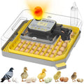 IBKINXX Incubator for Hatching Eggs-48 Egg Capacity, 2026 Newly Upraded Auto Egg Turner & Auto Precision Humidity Control System, 360° Clear Viewing for Chicken