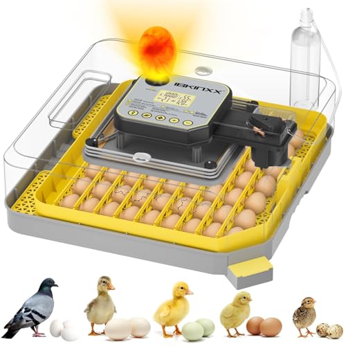 IBKINXX Incubator for Hatching Eggs-48 Egg Capacity, 2026 Newly Upraded Auto Egg Turner & Auto Precision Humidity Control System, 360° Clear Viewing for Chicken