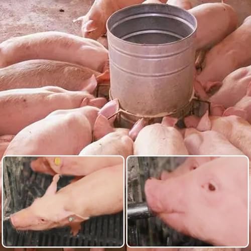 Joywayus 5PCS Stainless Steel Automatic Pig Nipple Water Drinker Feeder Waterer + 5PCS Brass Water Tank Connector Bulkhead Fitting + 1PCS Hole Opener Kit for Sows Piglets Drinking