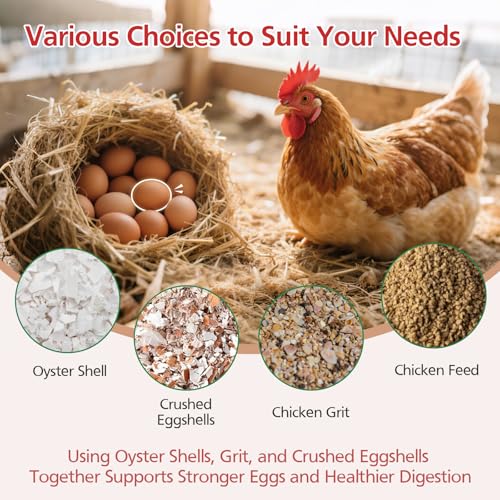 2Pack Chicken Grit and Oyster Shell Feeder for Hens – US Patent Pending – Heavy-Duty Metal Chicken Feeder with Rounded Edges – Chicken Coop Accessories Improve Eggshell Quality and Hen Health