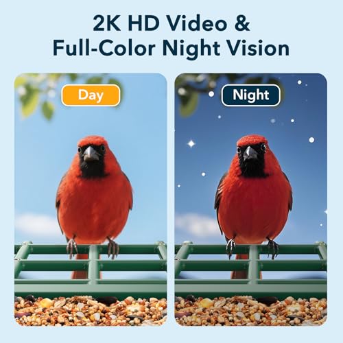 PeckCam® Bird Feeder with Camera Solar Powered 2K Live Video Auto Capture | AI Bird Species Identification, Instant App Alert, IP65 Waterproof, Easy Setup, Backyard Bird-Watching, Gift for Bird Lovers - color: Green