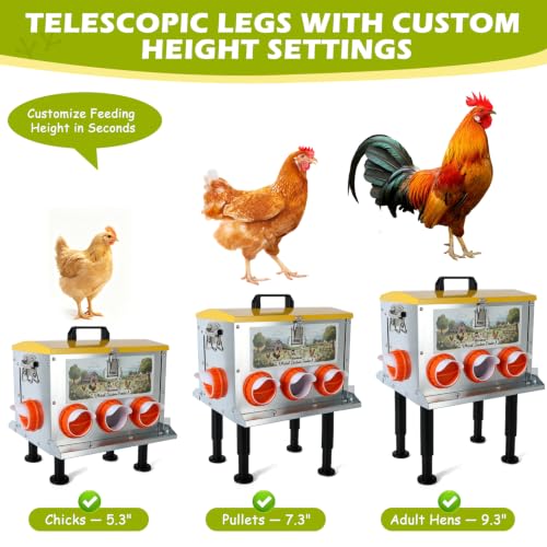55 LB Metal Automatic Outdoor Chicken Feeder with Adjustable Legs | Large Outdoor Chicken Feed Bin,Waterproof & Rat-Resistant Poultry Feeder for Chickens, Hens & Backyard Flocks