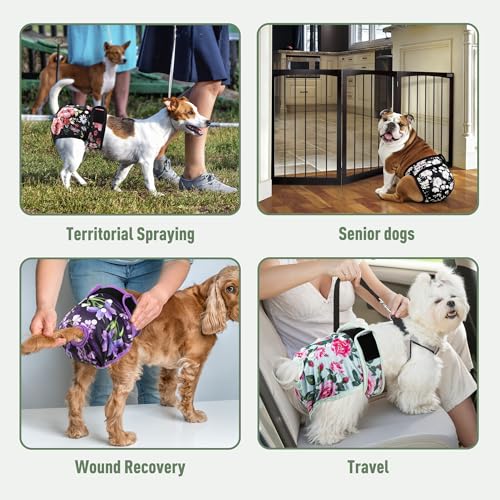 Washable Reusable Female Dog Diapers(5 Pack) Small Medium Large Doggie Puppy & Doggy Dog Diaper, Period Panties in Heat Large - color: Flower, size: Large