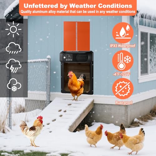Cieex Automatic Chicken Coop Door Solar Powered with Remote Control & Timer | Large Auto Solar Chicken Door with Light Sensor, Waterproof Chicken Door, LED Display, Anti-Pinch Design for Small Poultry