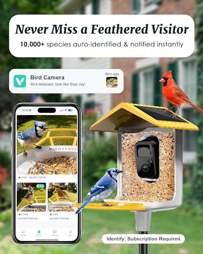 Bird Feeder with Camera Solar Powered 2K Video with 32GB Card Auto Capture | Instant App Alert, AI Identify, Easy Refill, 1.8L Capacity, IP65 Weatherproof, Pole/Bracket Mount, 3 DIY Add-ons, 2.4G Wifi - color: Yellow